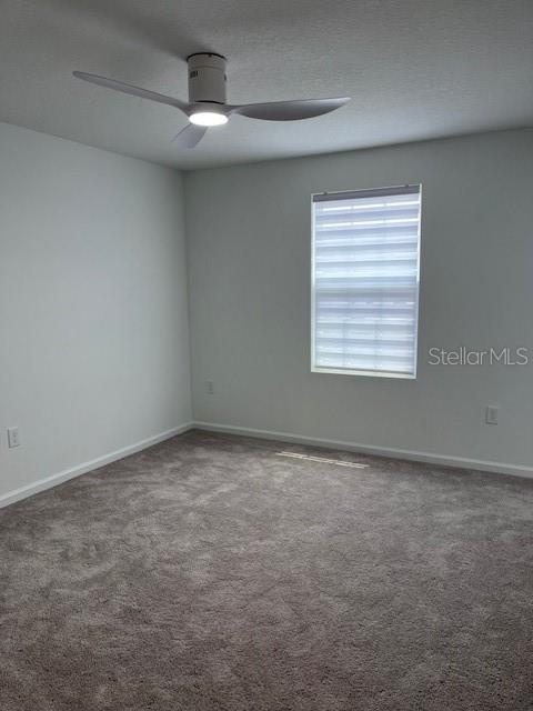 2504 PEONY PL, HAINES CITY, FL, 33844