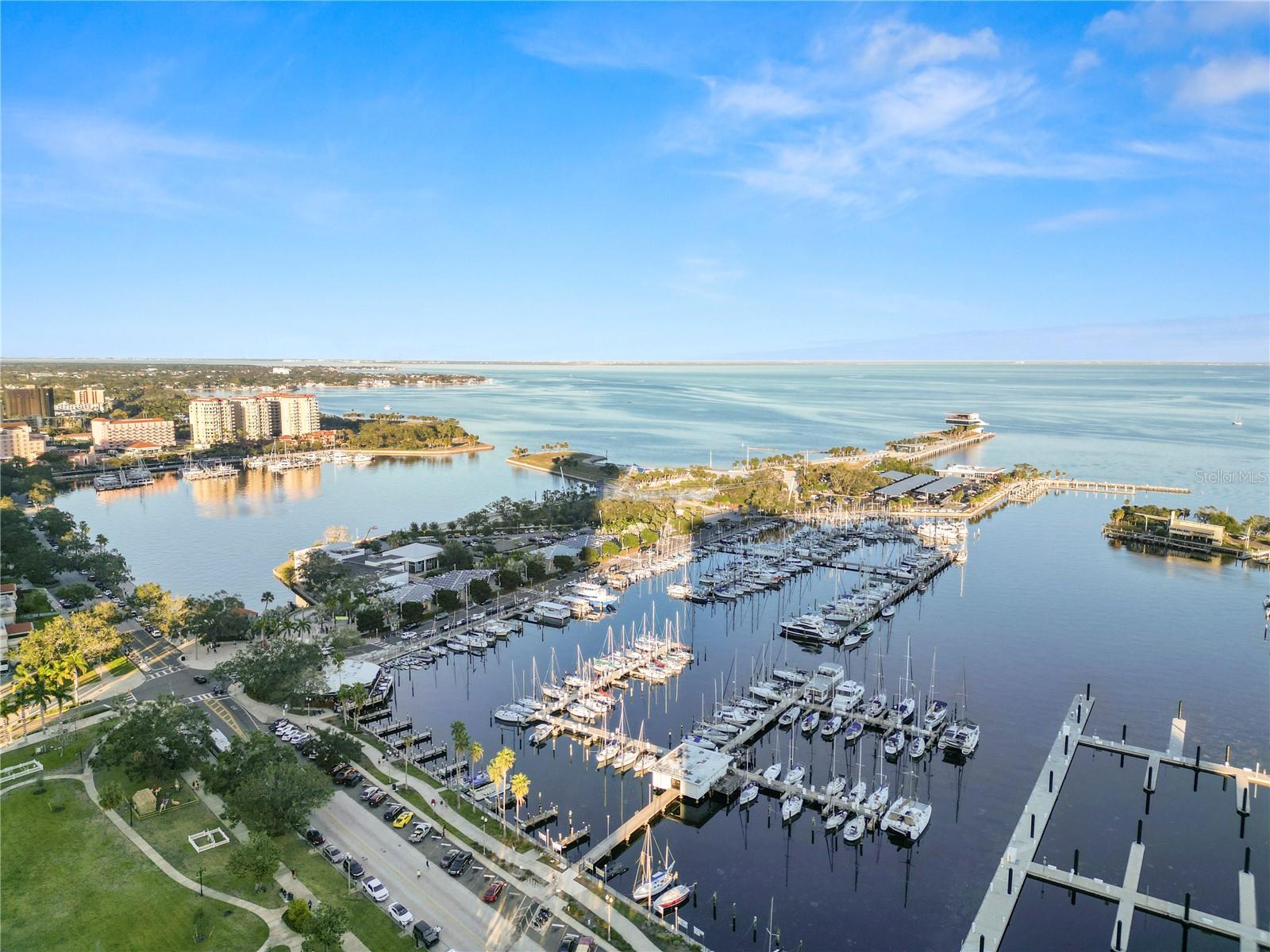 405 CENTRAL AVE #210, ST PETERSBURG, FL, 33701