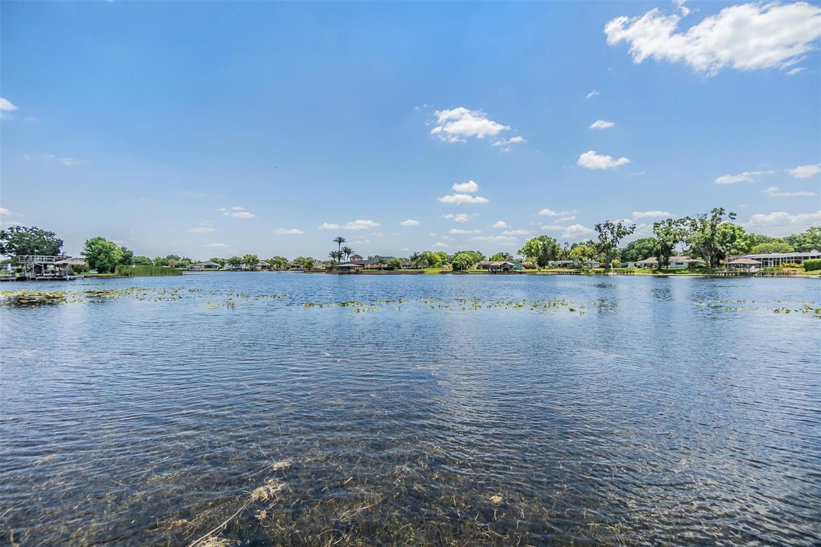 3938 LAKE JOYCE DR, LAND O LAKES, FL, 34639