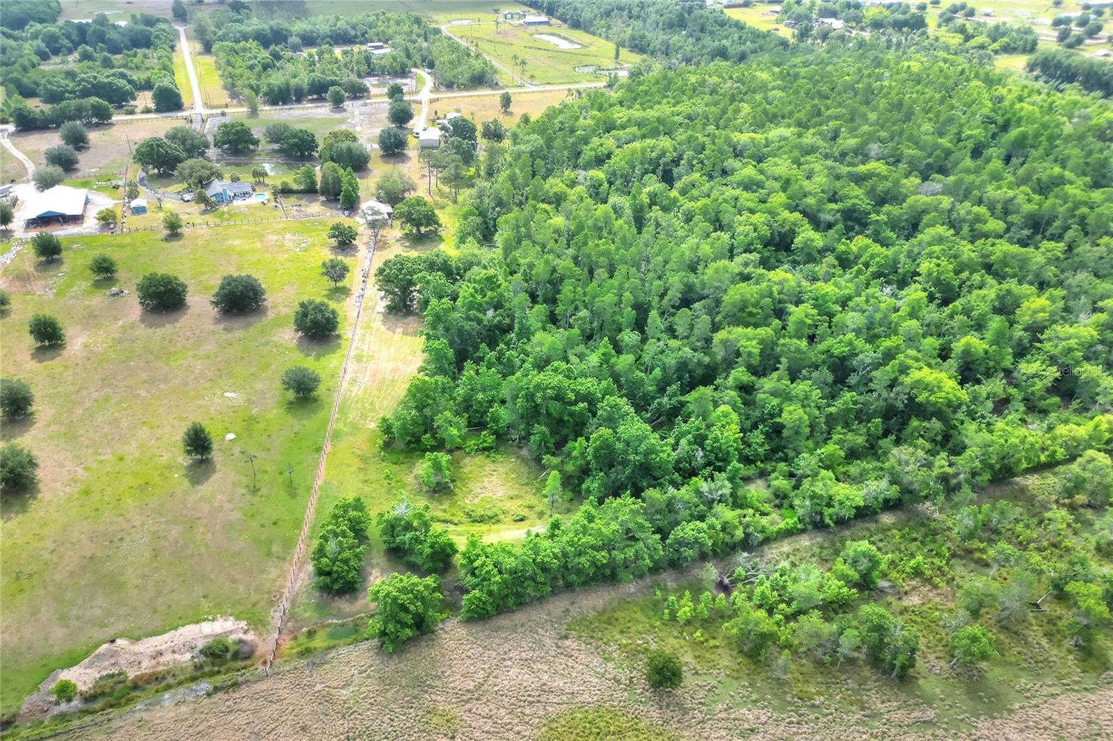 14810 BRAHMA RD, POLK CITY, FL, 33868