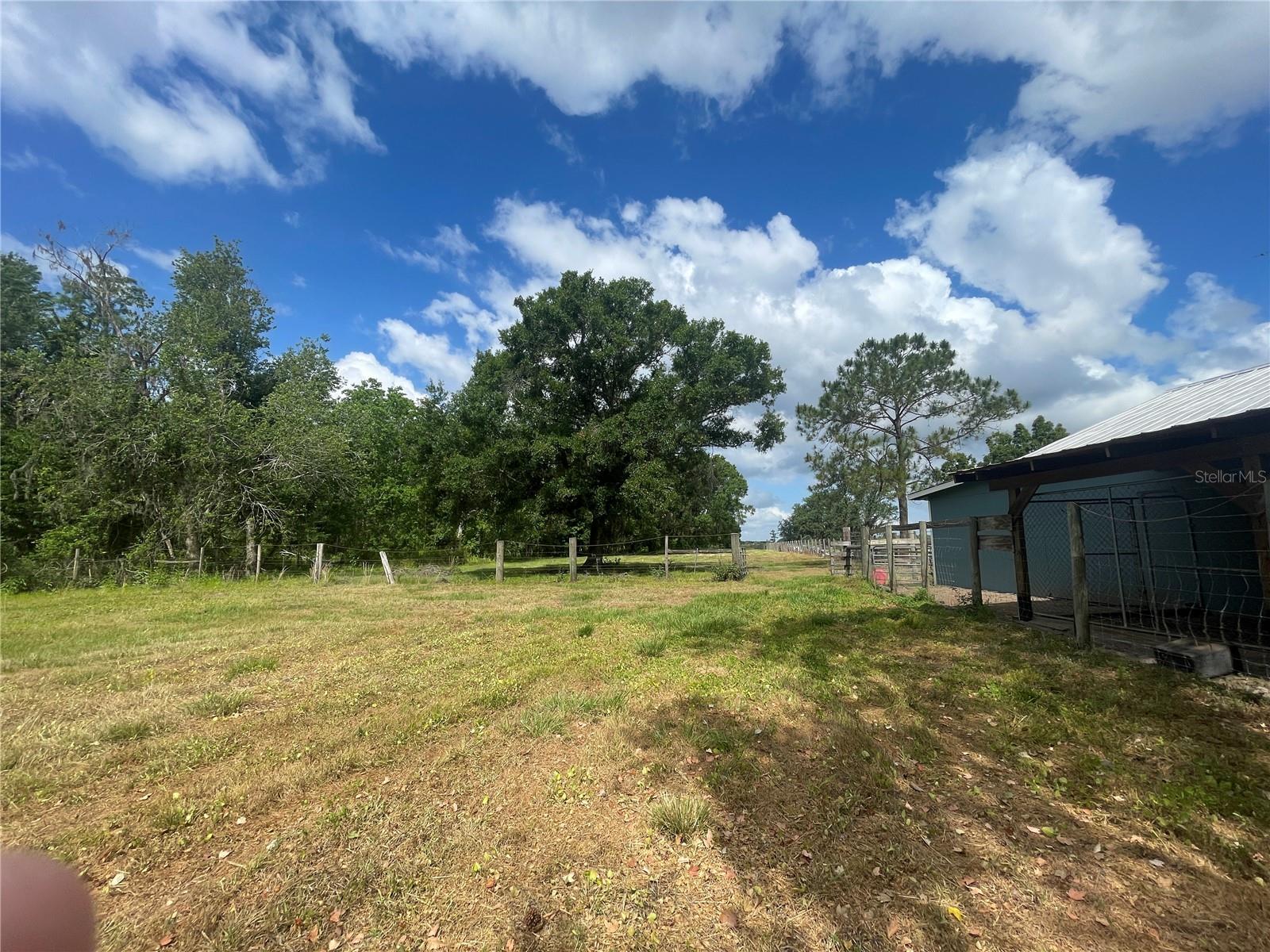 14810 BRAHMA RD, POLK CITY, FL, 33868