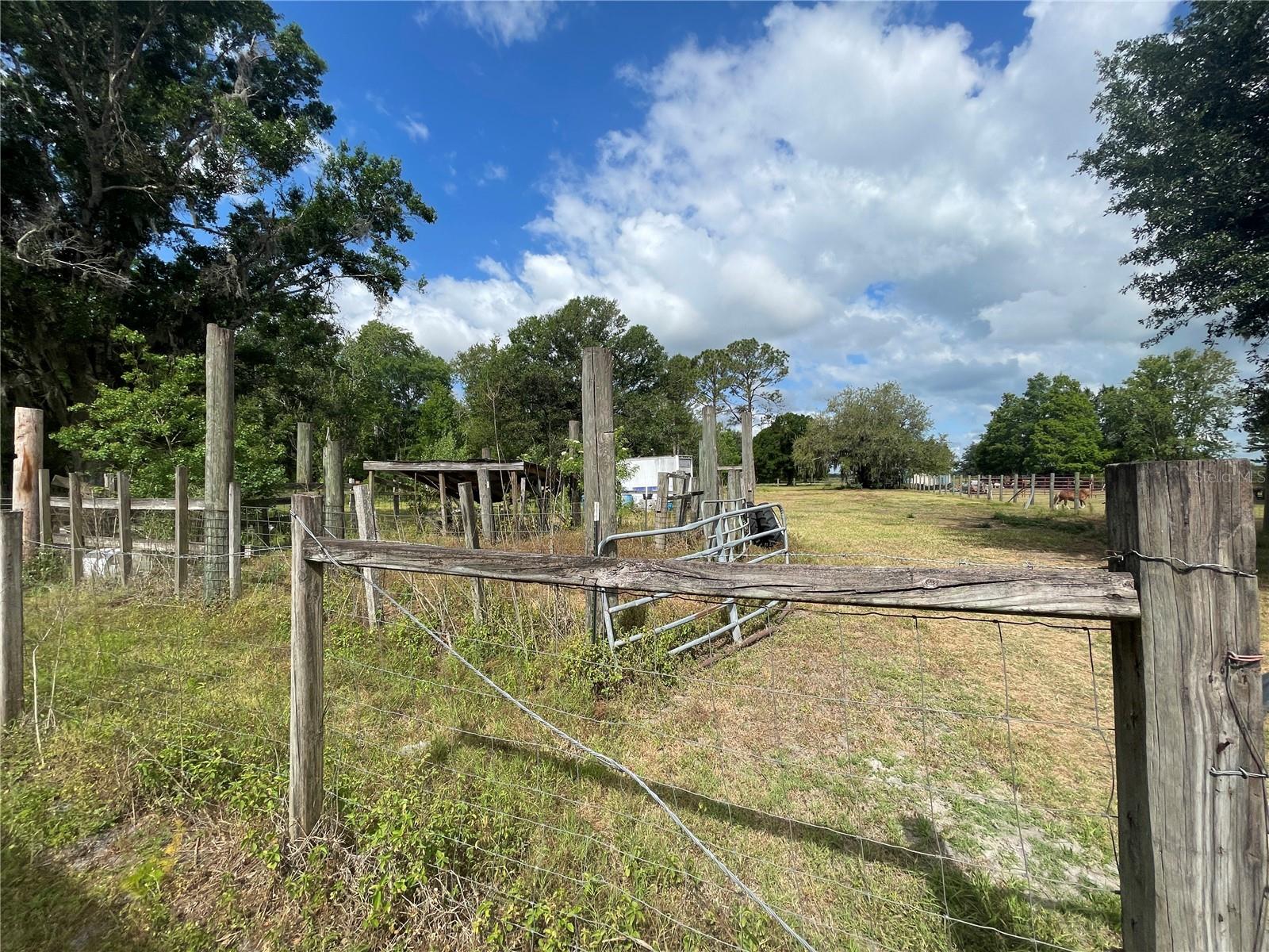 14810 BRAHMA RD, POLK CITY, FL, 33868
