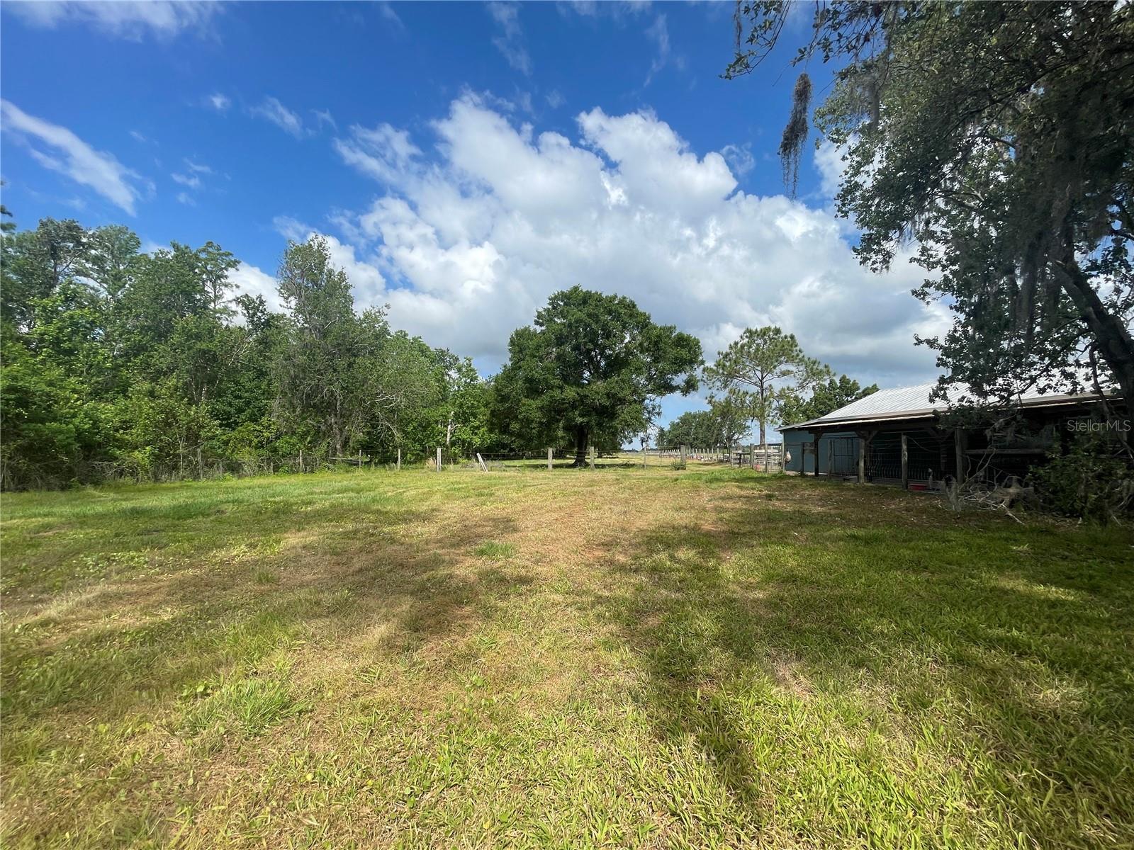 14810 BRAHMA RD, POLK CITY, FL, 33868