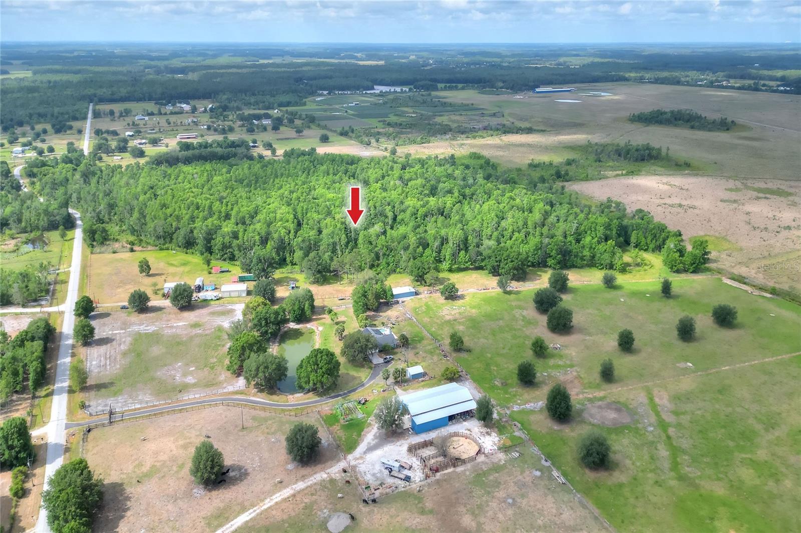 14810 BRAHMA RD, POLK CITY, FL, 33868