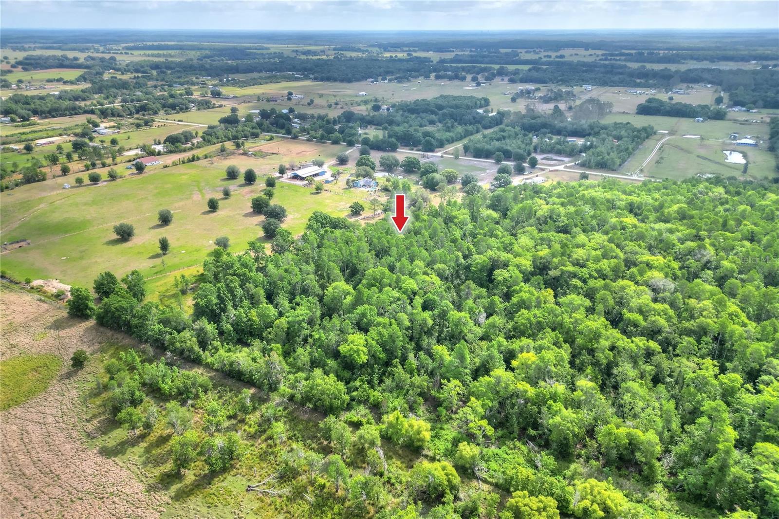 14810 BRAHMA RD, POLK CITY, FL, 33868