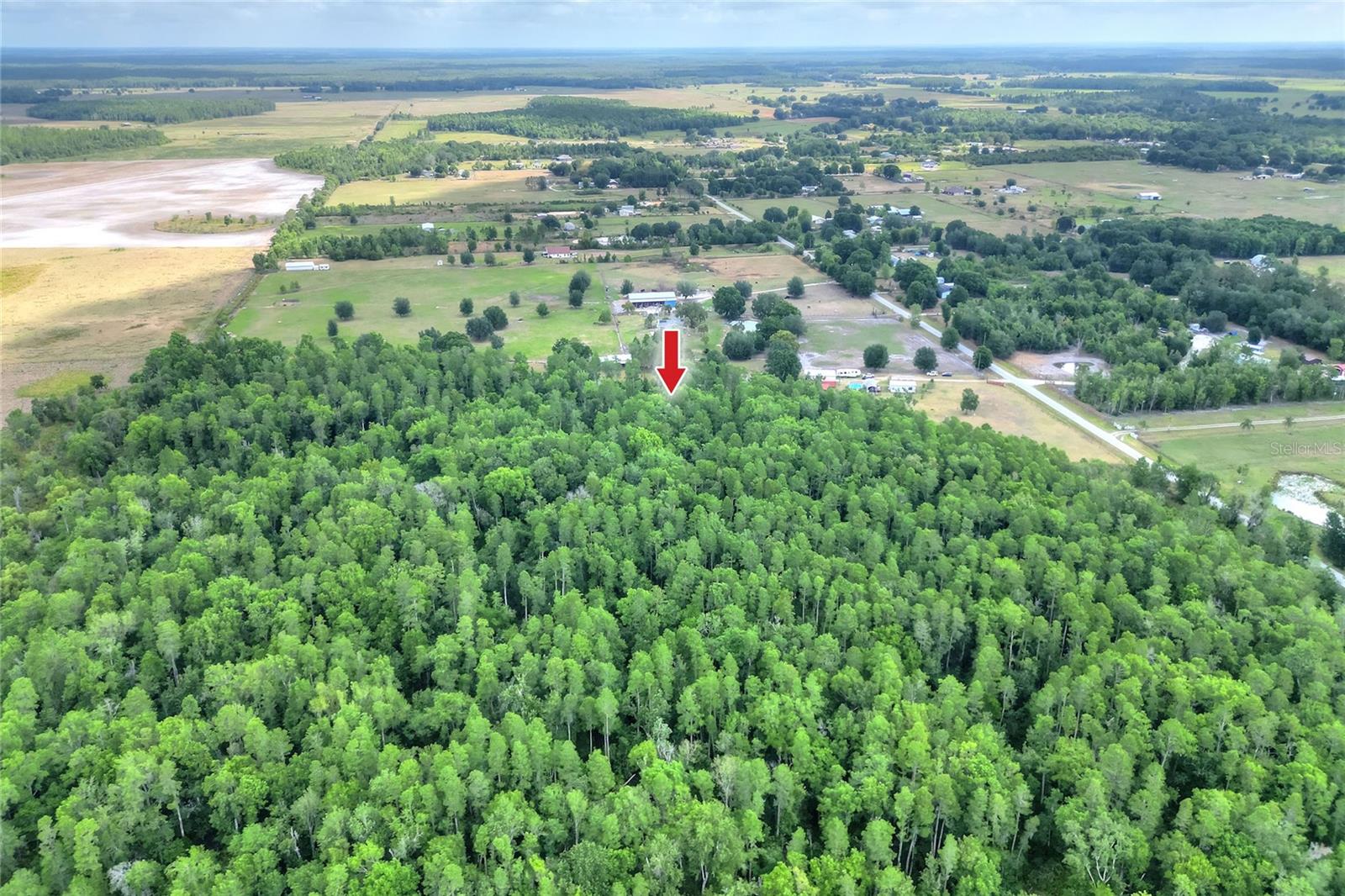 14810 BRAHMA RD, POLK CITY, FL, 33868