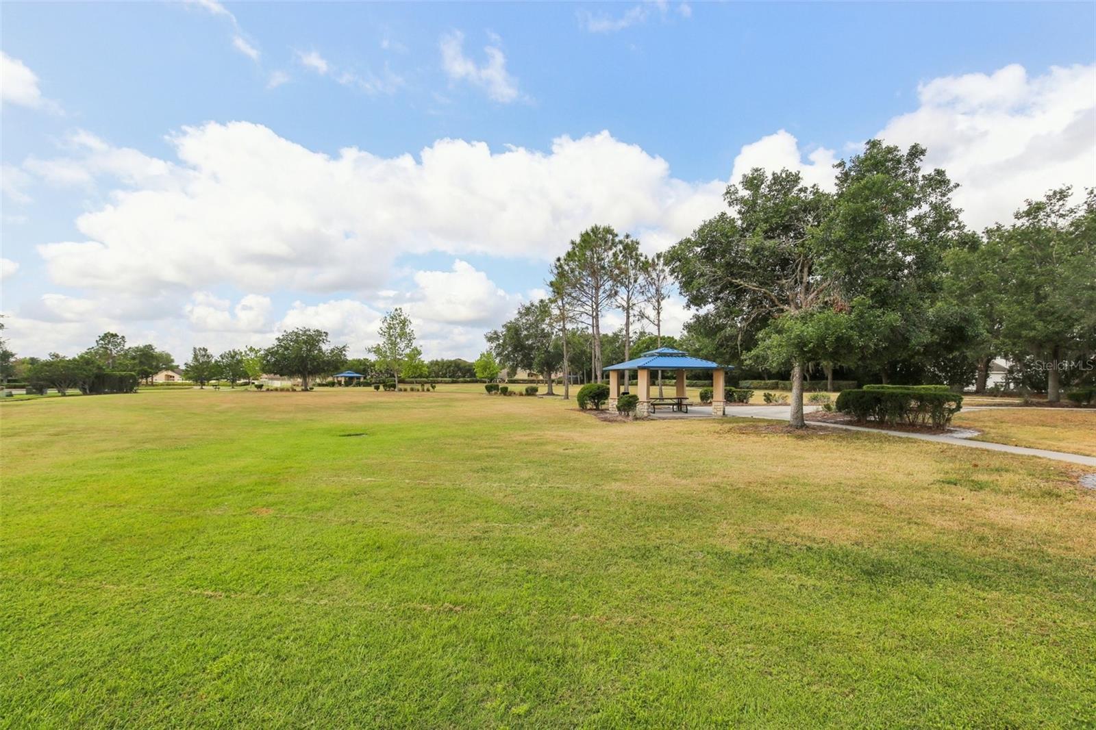 20254 RAVENS END DR, TAMPA, FL, 33647
