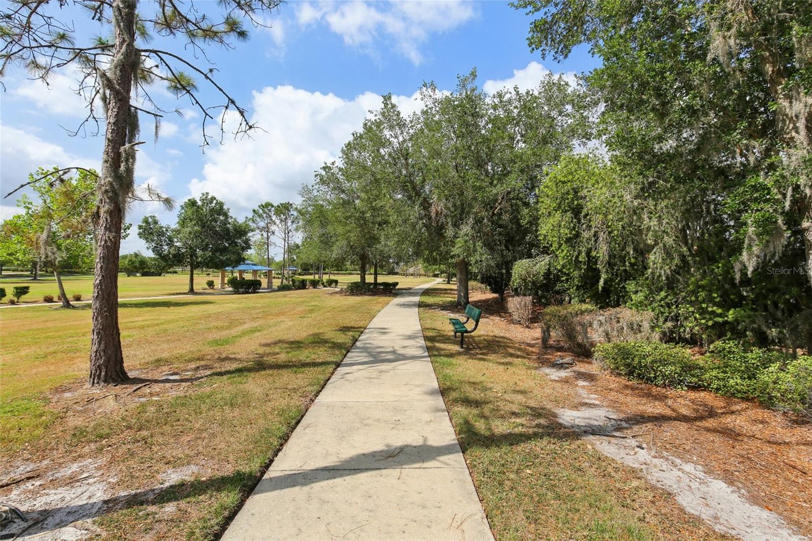 20254 RAVENS END DR, TAMPA, FL, 33647
