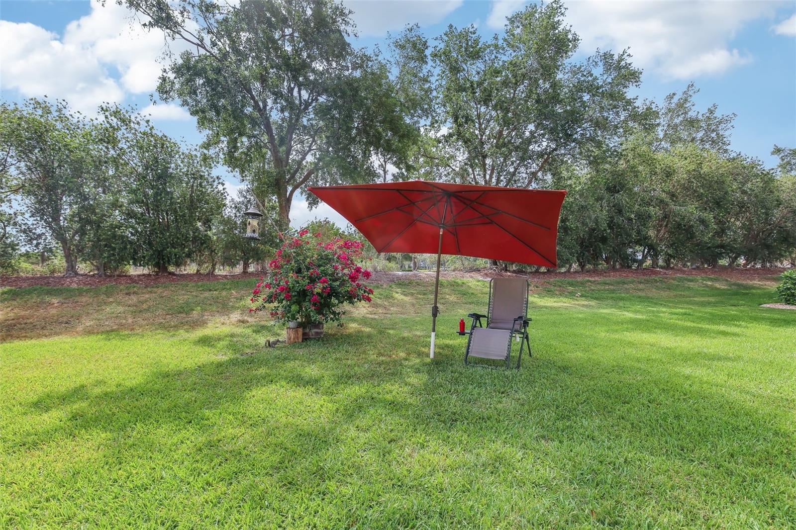20254 RAVENS END DR, TAMPA, FL, 33647