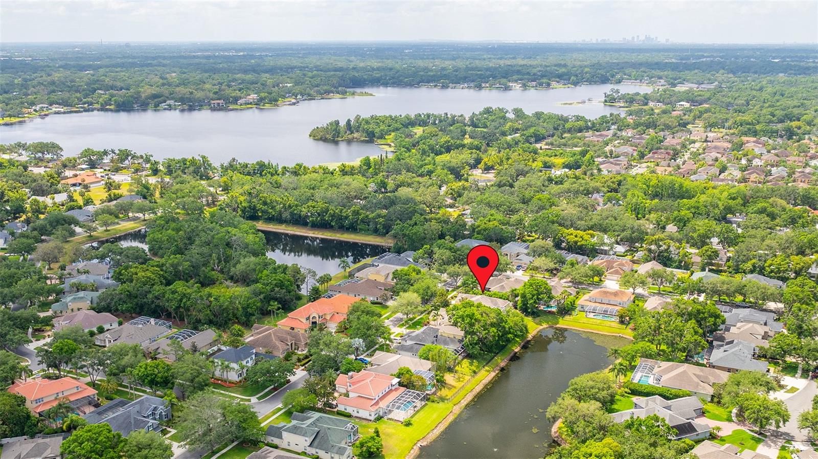 2207 CLIMBING IVY DR, TAMPA, FL, 33618