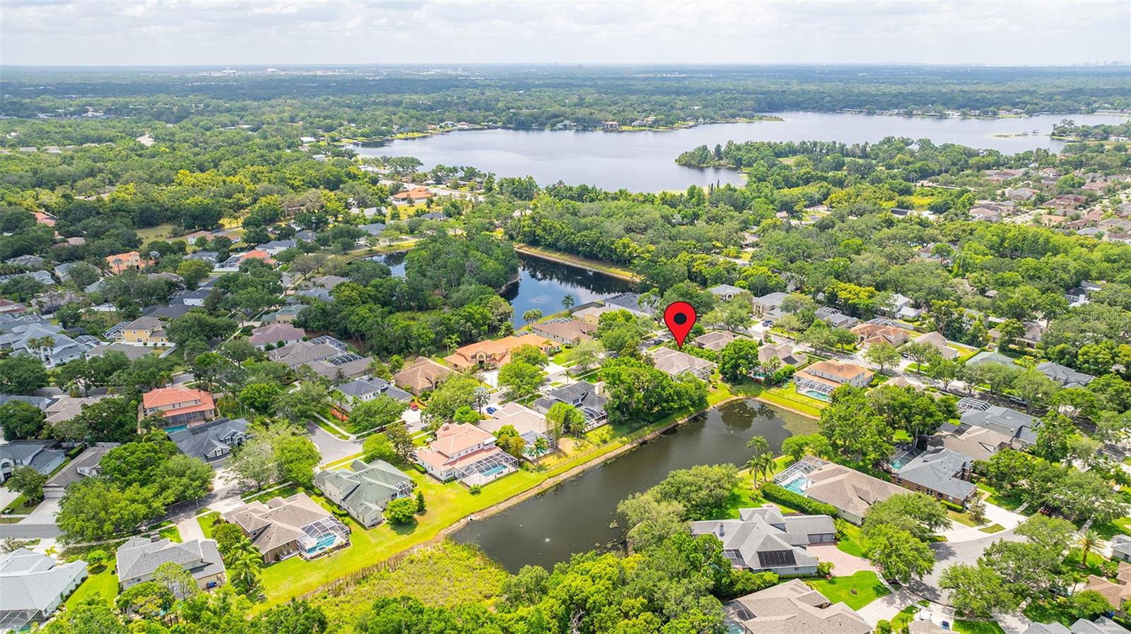 2207 CLIMBING IVY DR, TAMPA, FL, 33618