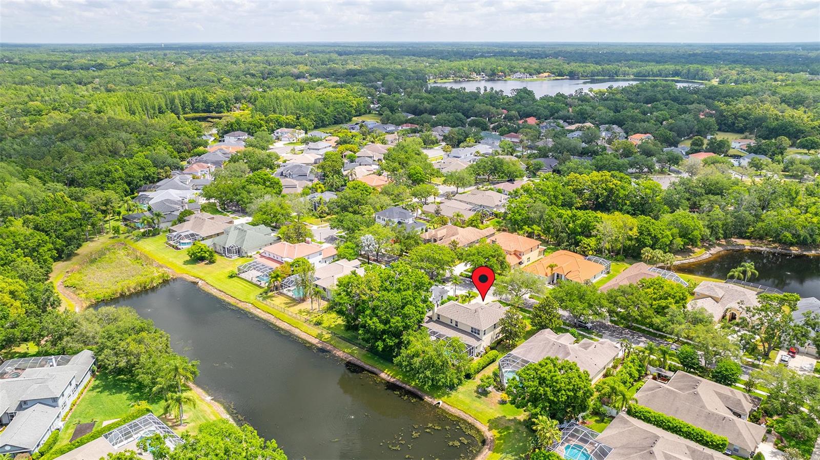 2207 CLIMBING IVY DR, TAMPA, FL, 33618