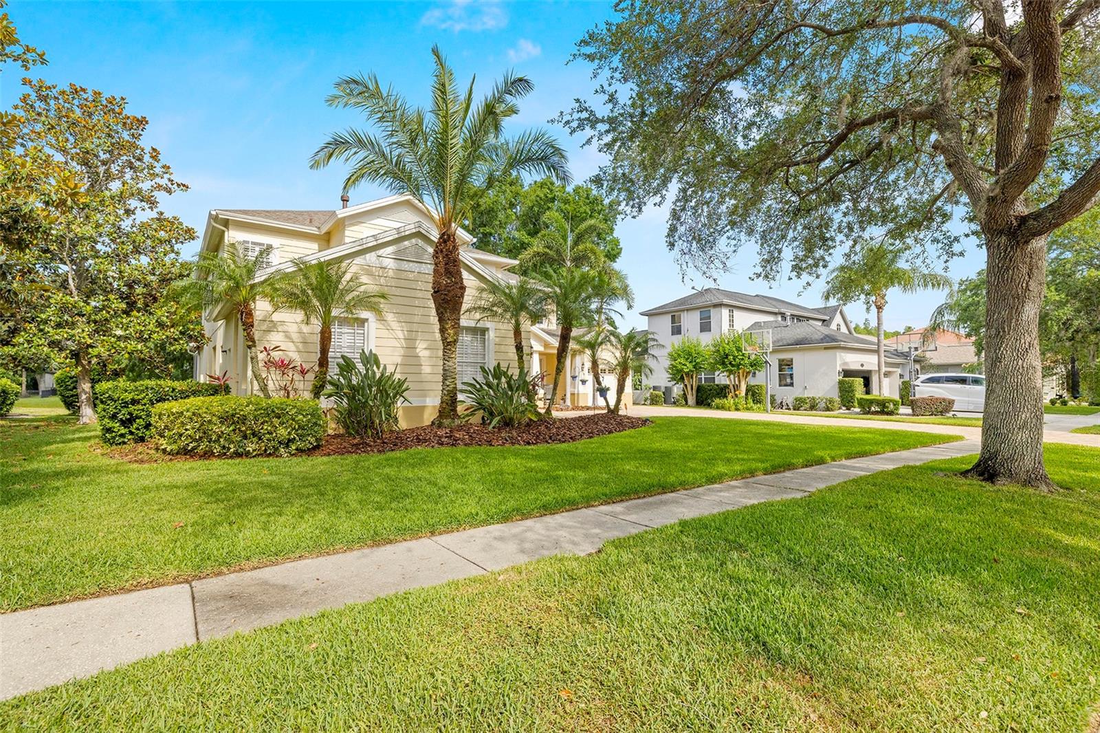 2207 CLIMBING IVY DR, TAMPA, FL, 33618