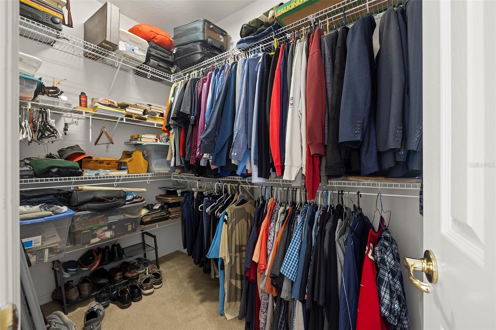 2207 CLIMBING IVY DR, TAMPA, FL, 33618