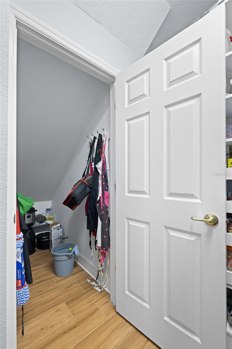 2207 CLIMBING IVY DR, TAMPA, FL, 33618