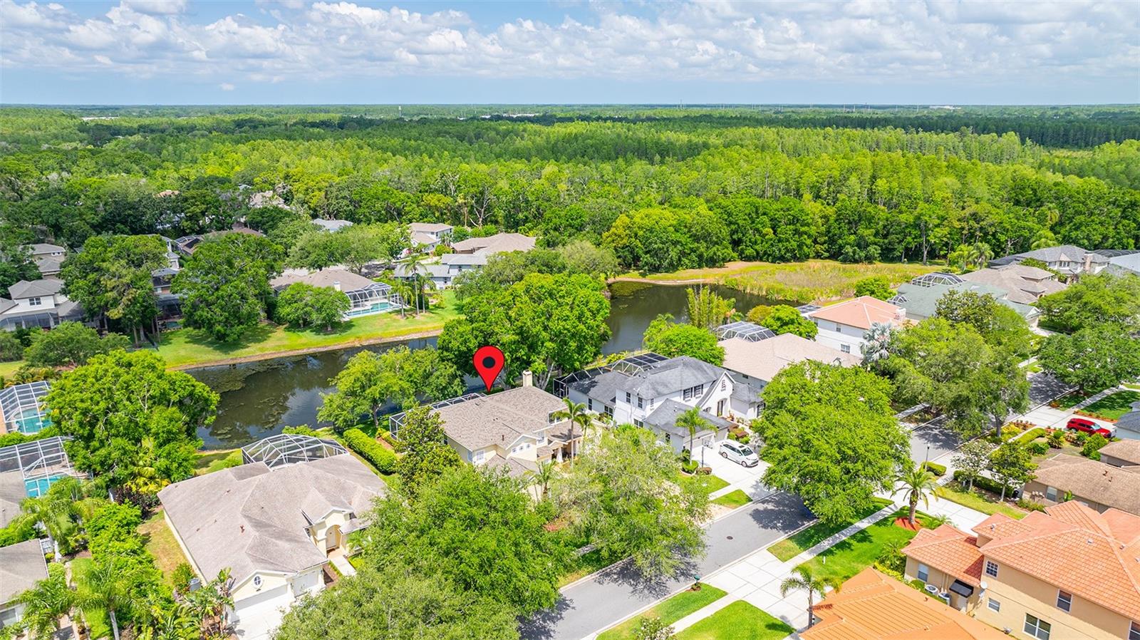 2207 CLIMBING IVY DR, TAMPA, FL, 33618