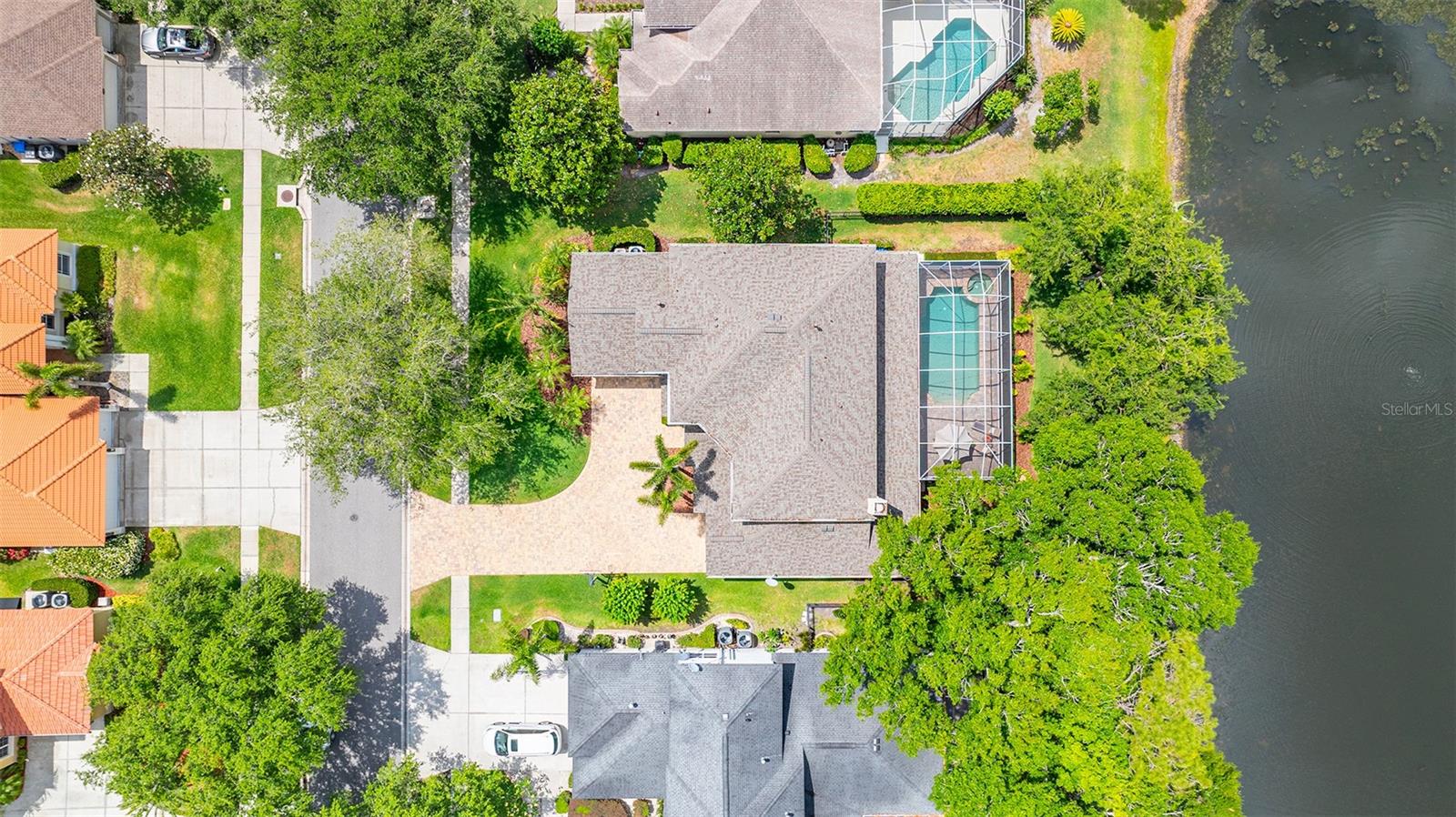 2207 CLIMBING IVY DR, TAMPA, FL, 33618