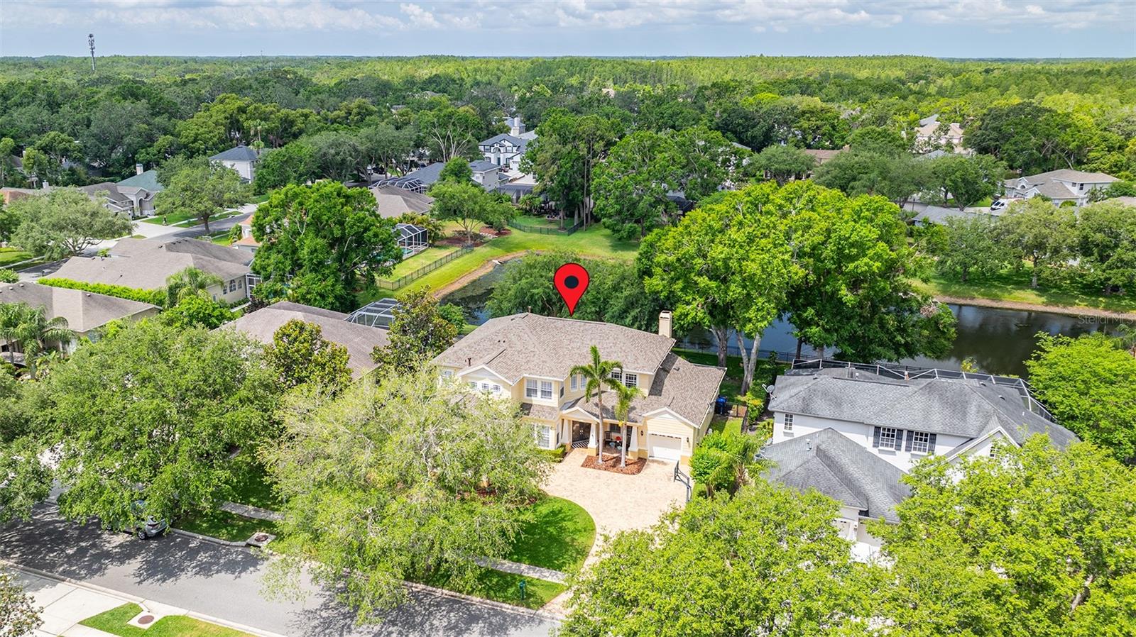 2207 CLIMBING IVY DR, TAMPA, FL, 33618