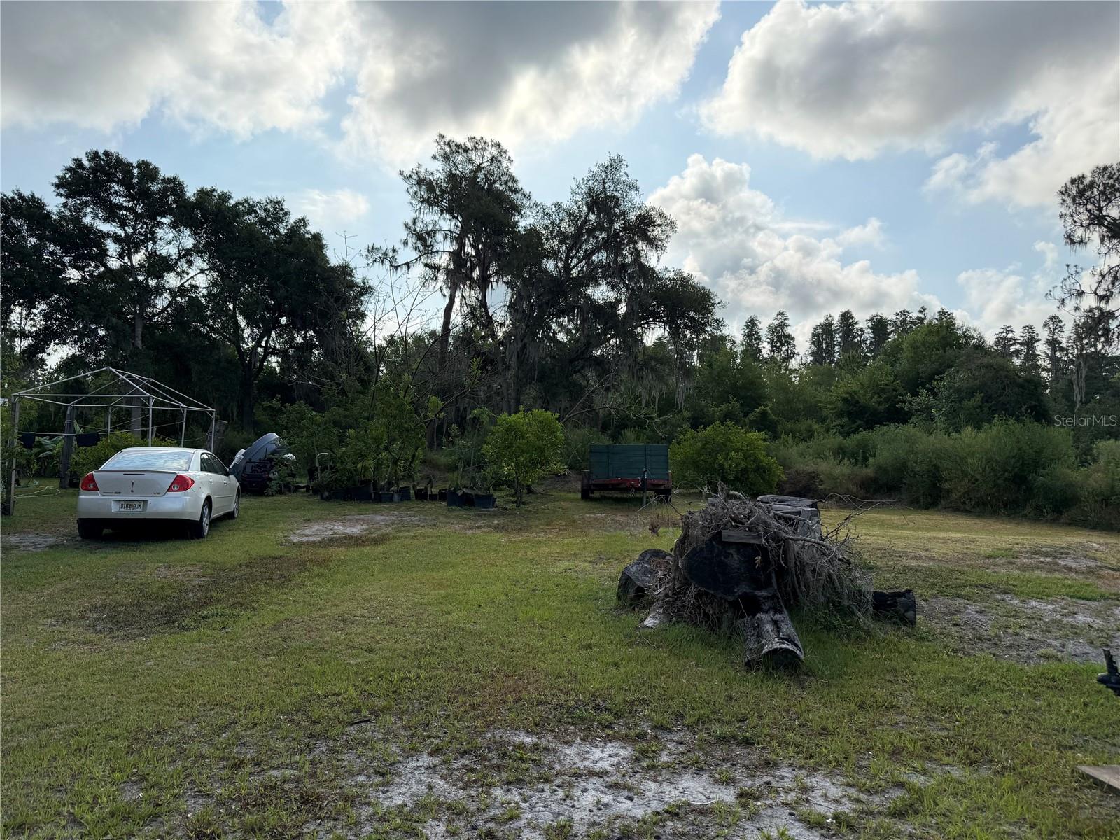 6206 PAUL BUCHMAN HWY, PLANT CITY, FL, 33565