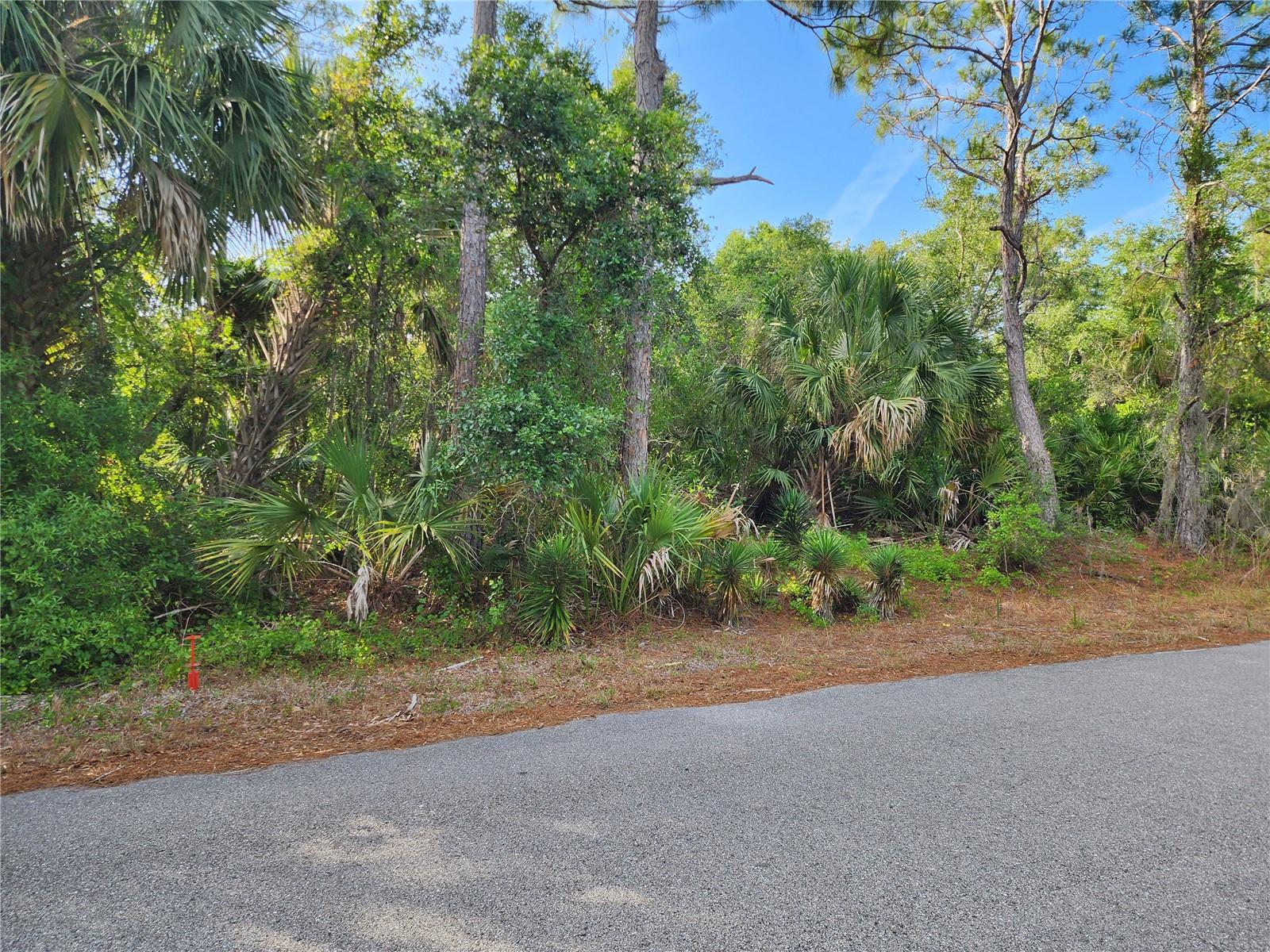 HILLMAN TER, NORTH PORT, FL, 34288