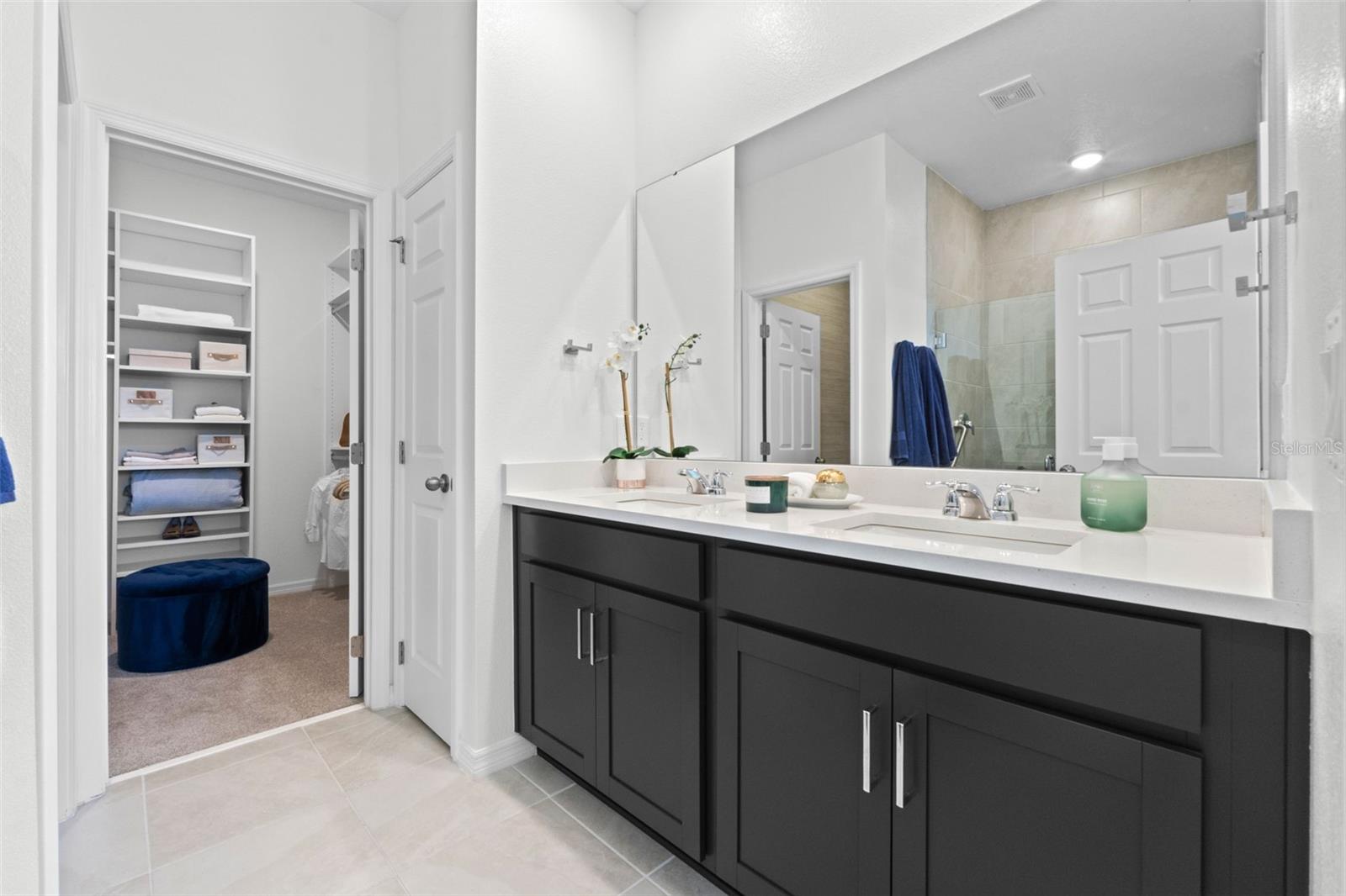 2681 SPIDER LILY CT, CLERMONT, FL, 34711