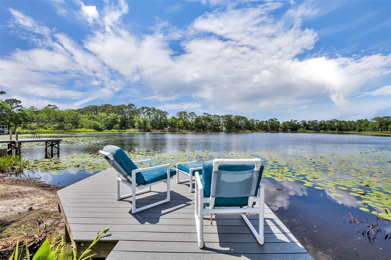 3960 LAKE MIRA DR DR, ORLANDO, FL, 32817