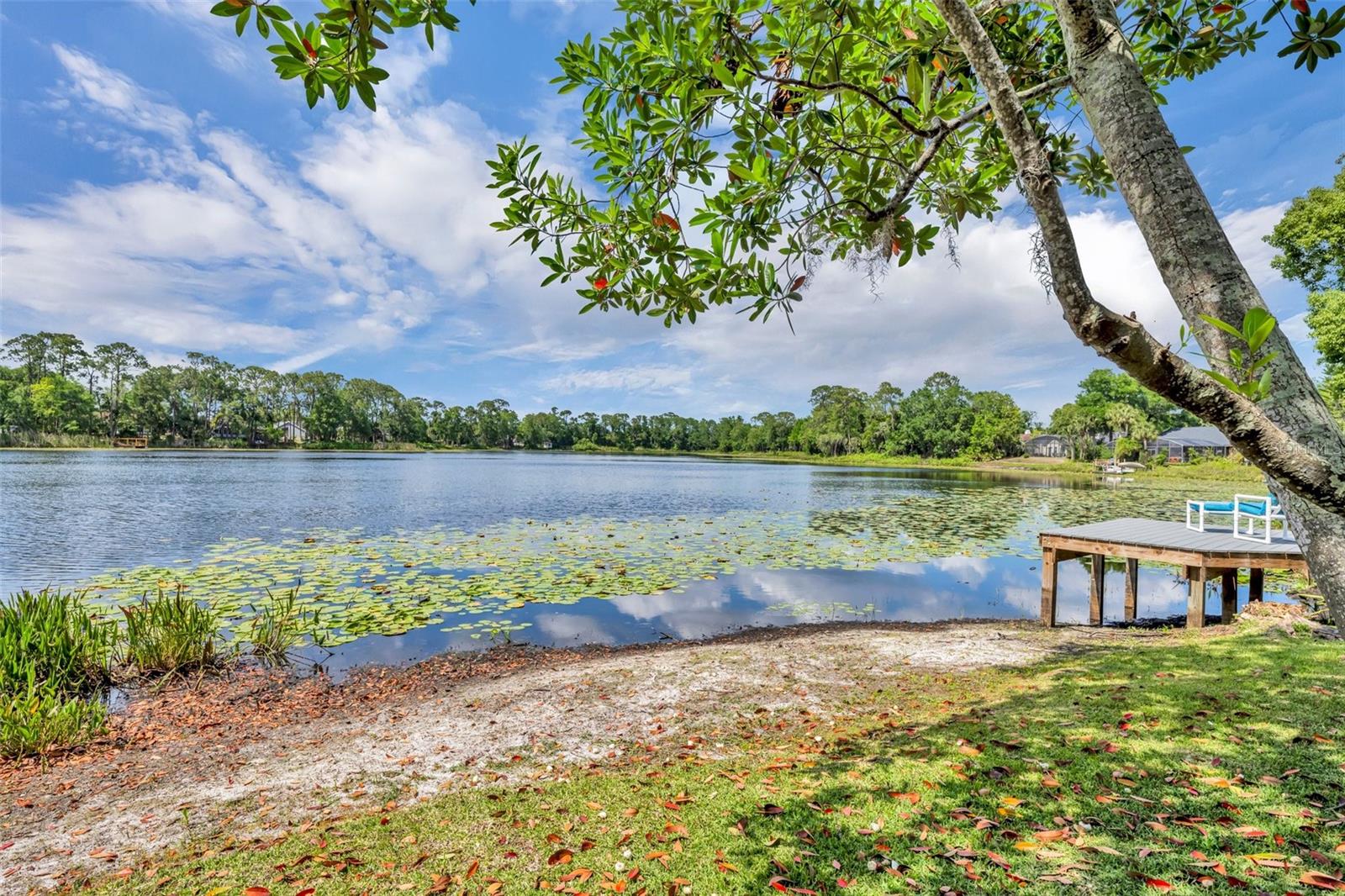 3960 LAKE MIRA DR DR, ORLANDO, FL, 32817