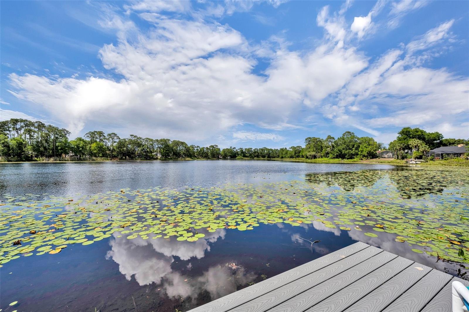 3960 LAKE MIRA DR DR, ORLANDO, FL, 32817