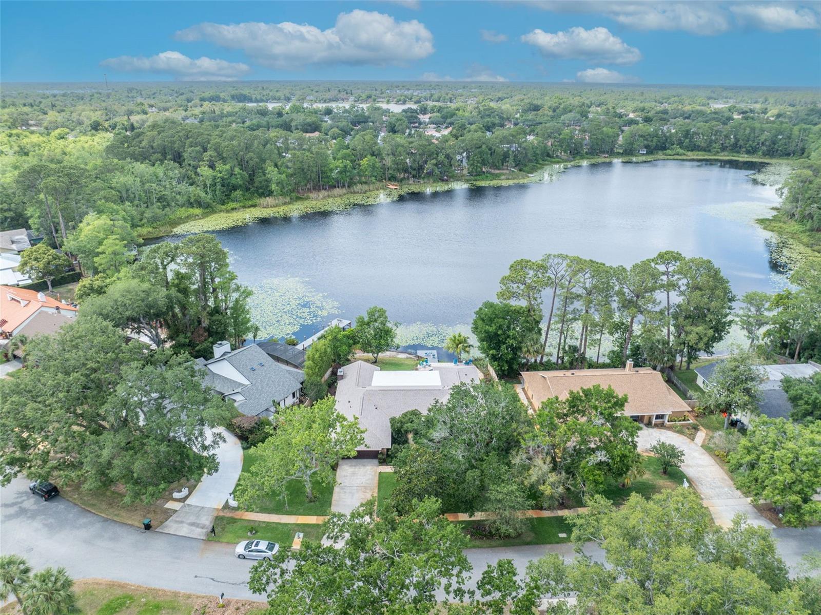 3960 LAKE MIRA DR DR, ORLANDO, FL, 32817