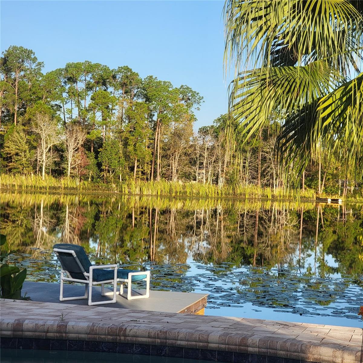 3960 LAKE MIRA DR DR, ORLANDO, FL, 32817