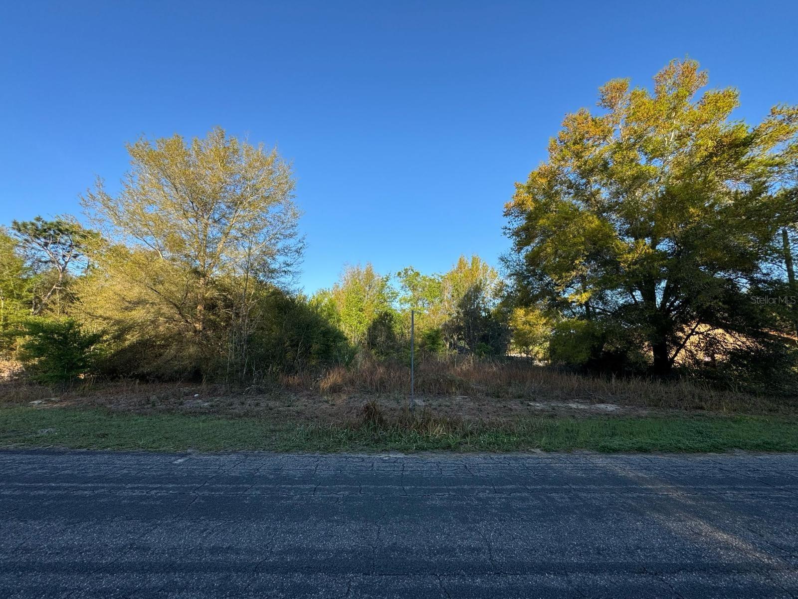 8216 N SARAZEN DR, CITRUS SPRINGS, FL, 34434