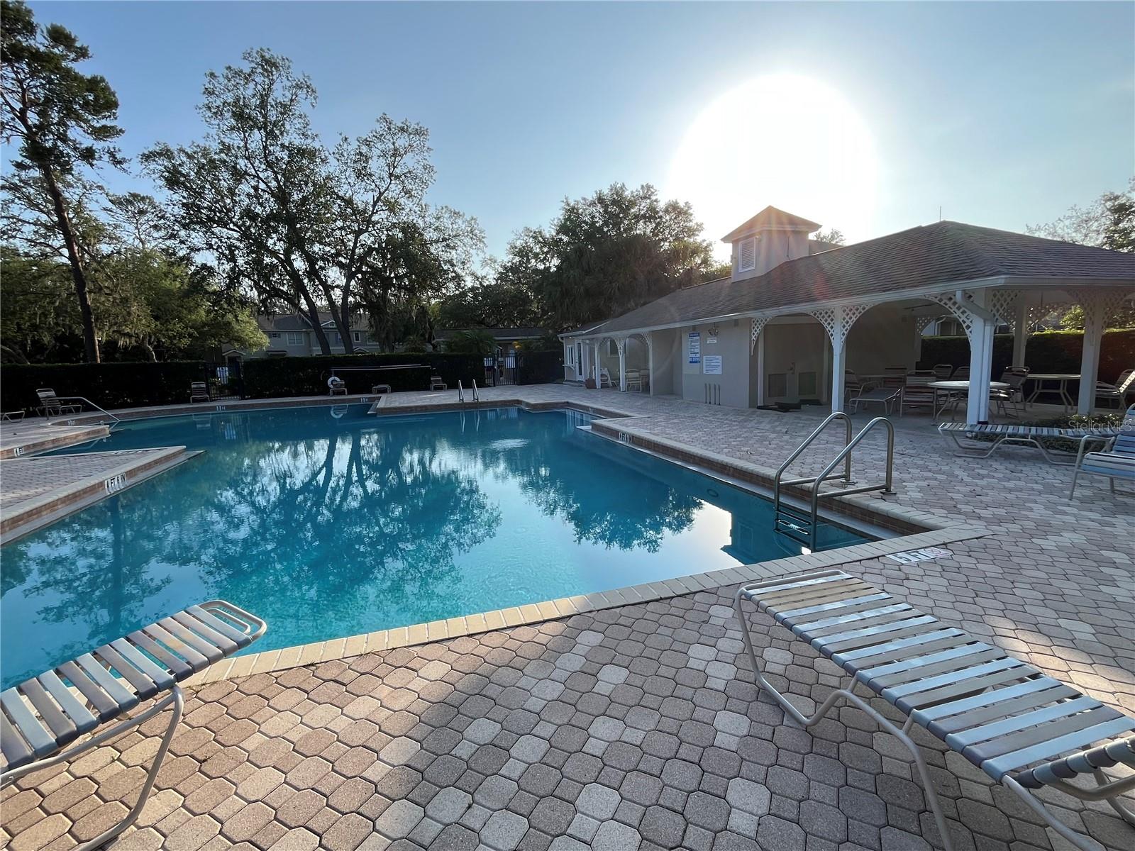 15811 FISHHAWK FALLS DR, LITHIA, FL, 33547
