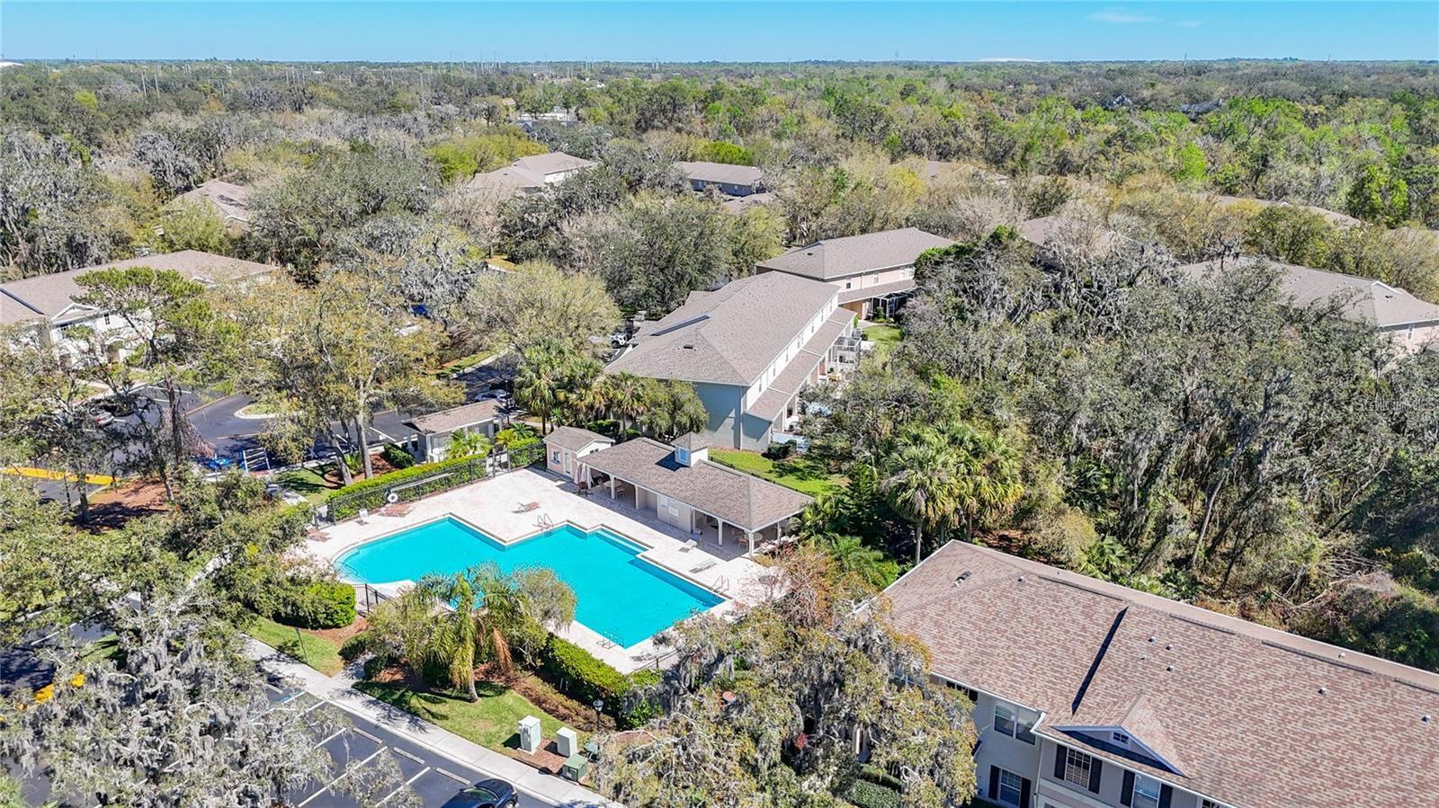 15811 FISHHAWK FALLS DR, LITHIA, FL, 33547