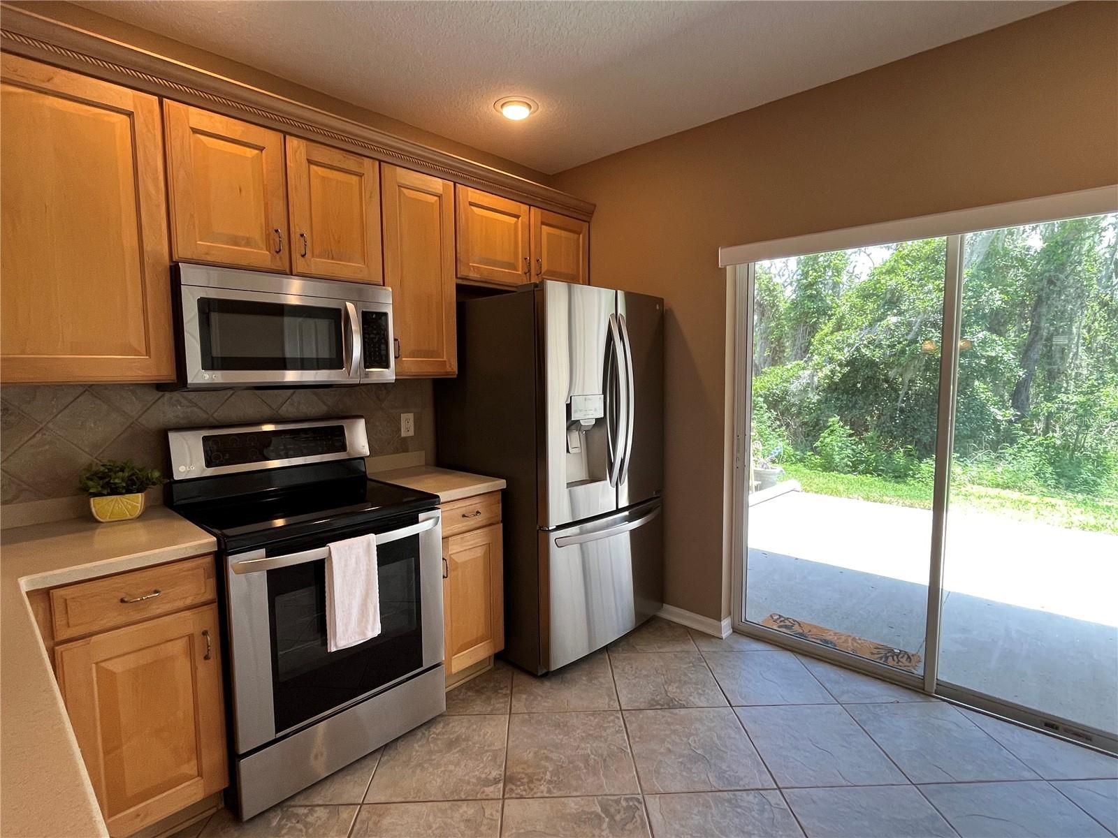 15811 FISHHAWK FALLS DR, LITHIA, FL, 33547