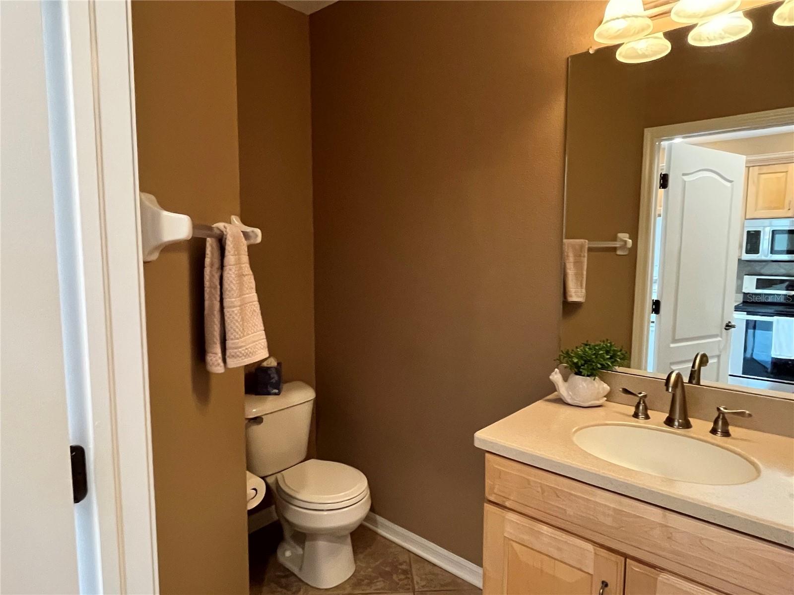 15811 FISHHAWK FALLS DR, LITHIA, FL, 33547