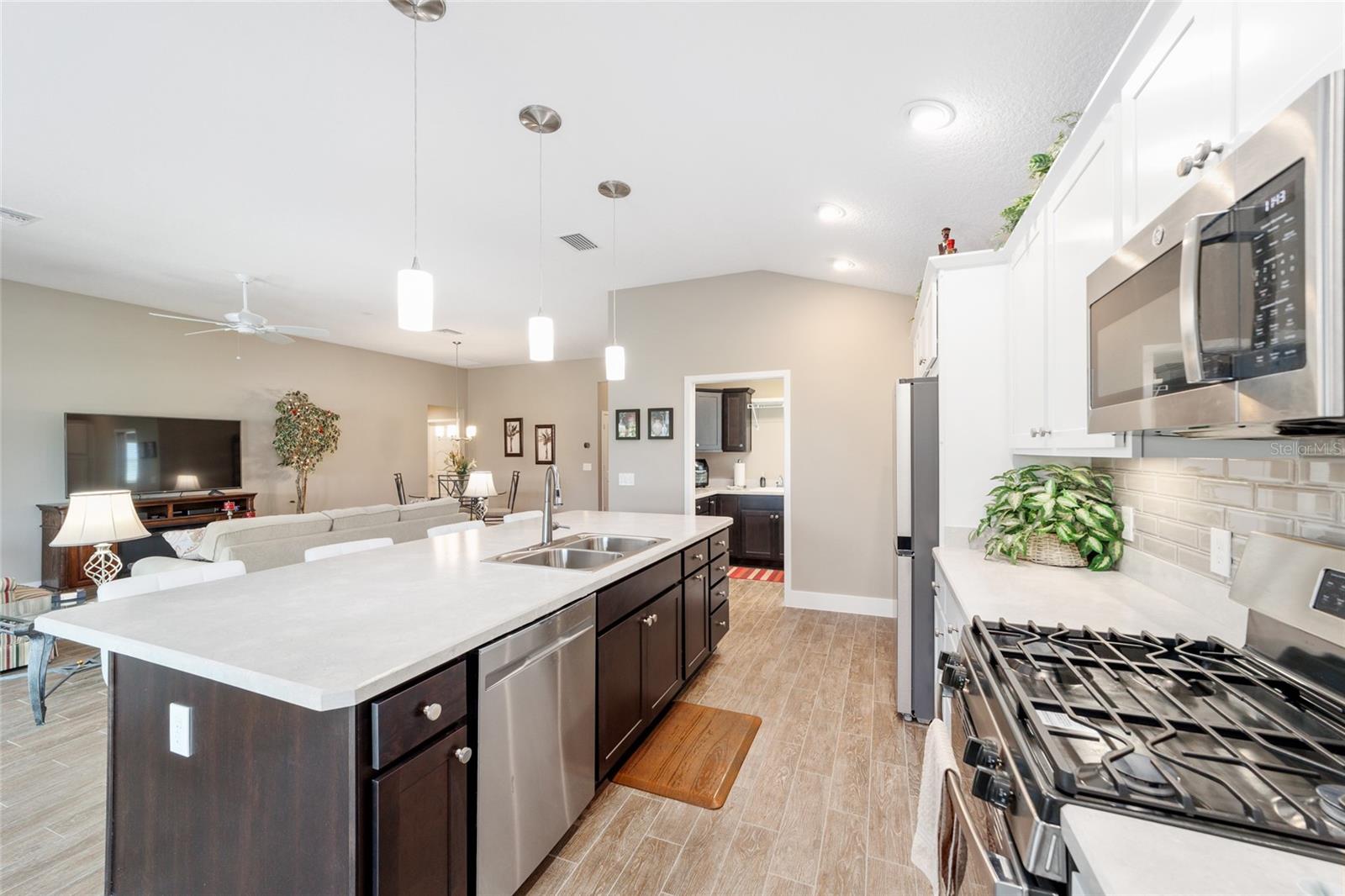 560 CAPUTO CT, THE VILLAGES, FL, 32163