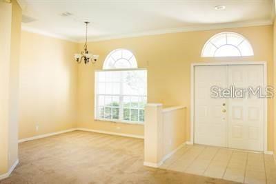 1220 MARAVISTA DR, TRINITY, FL, 34655