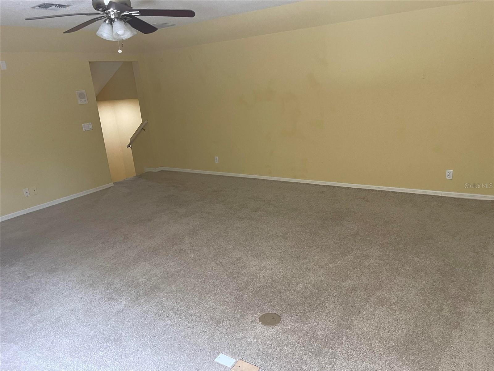 1220 MARAVISTA DR, TRINITY, FL, 34655