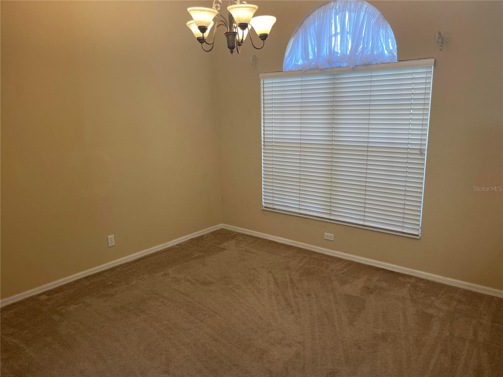1220 MARAVISTA DR, TRINITY, FL, 34655