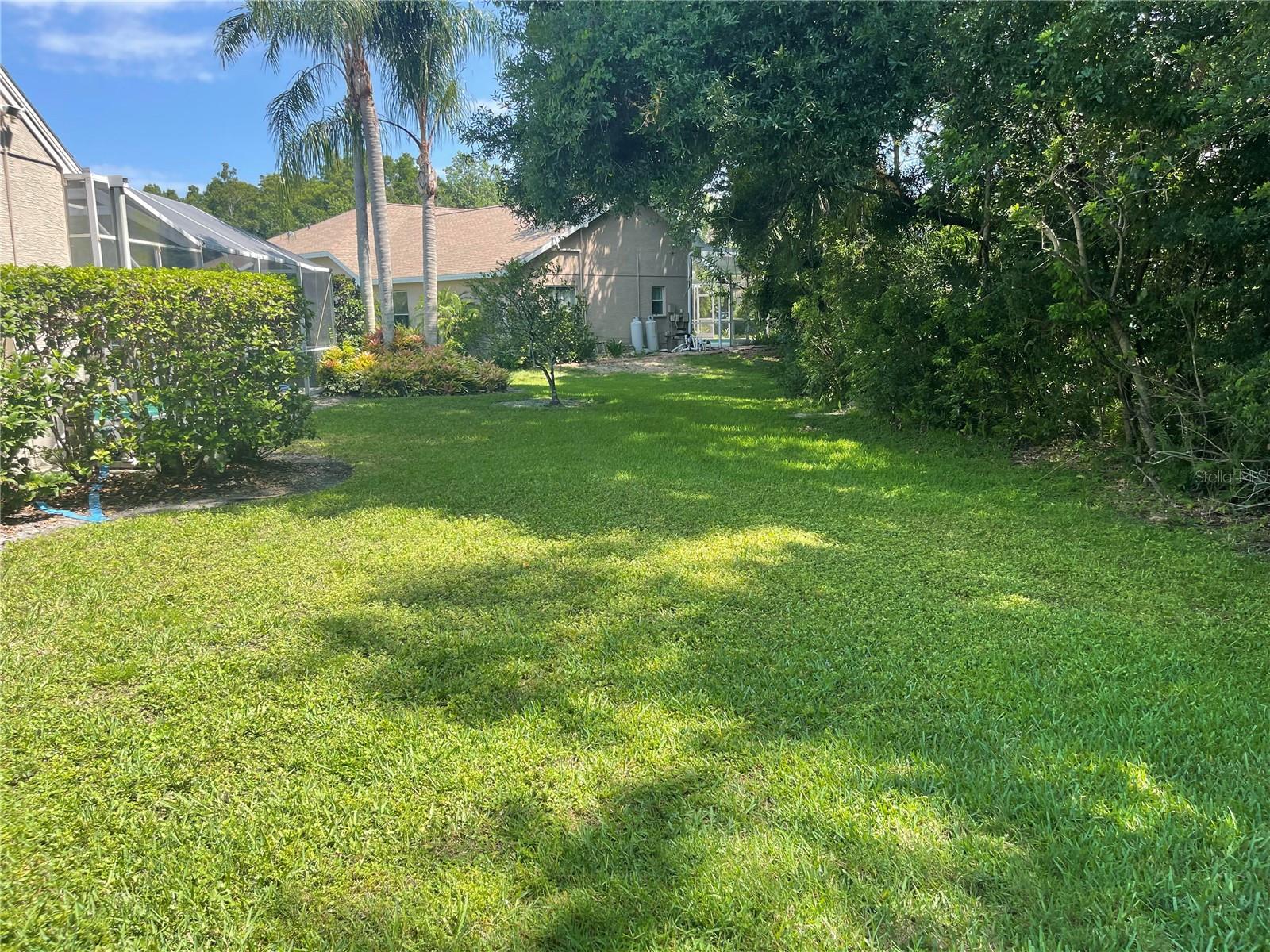 1220 MARAVISTA DR, TRINITY, FL, 34655