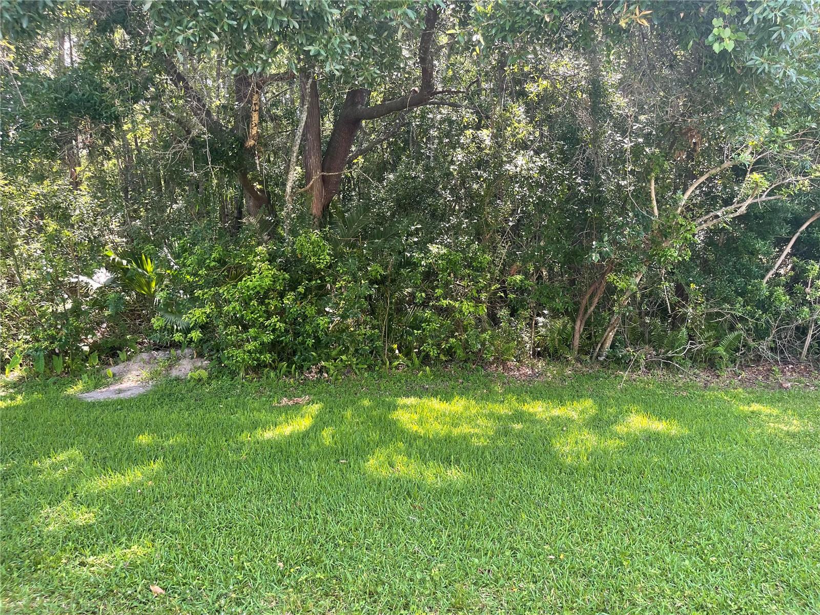 1220 MARAVISTA DR, TRINITY, FL, 34655