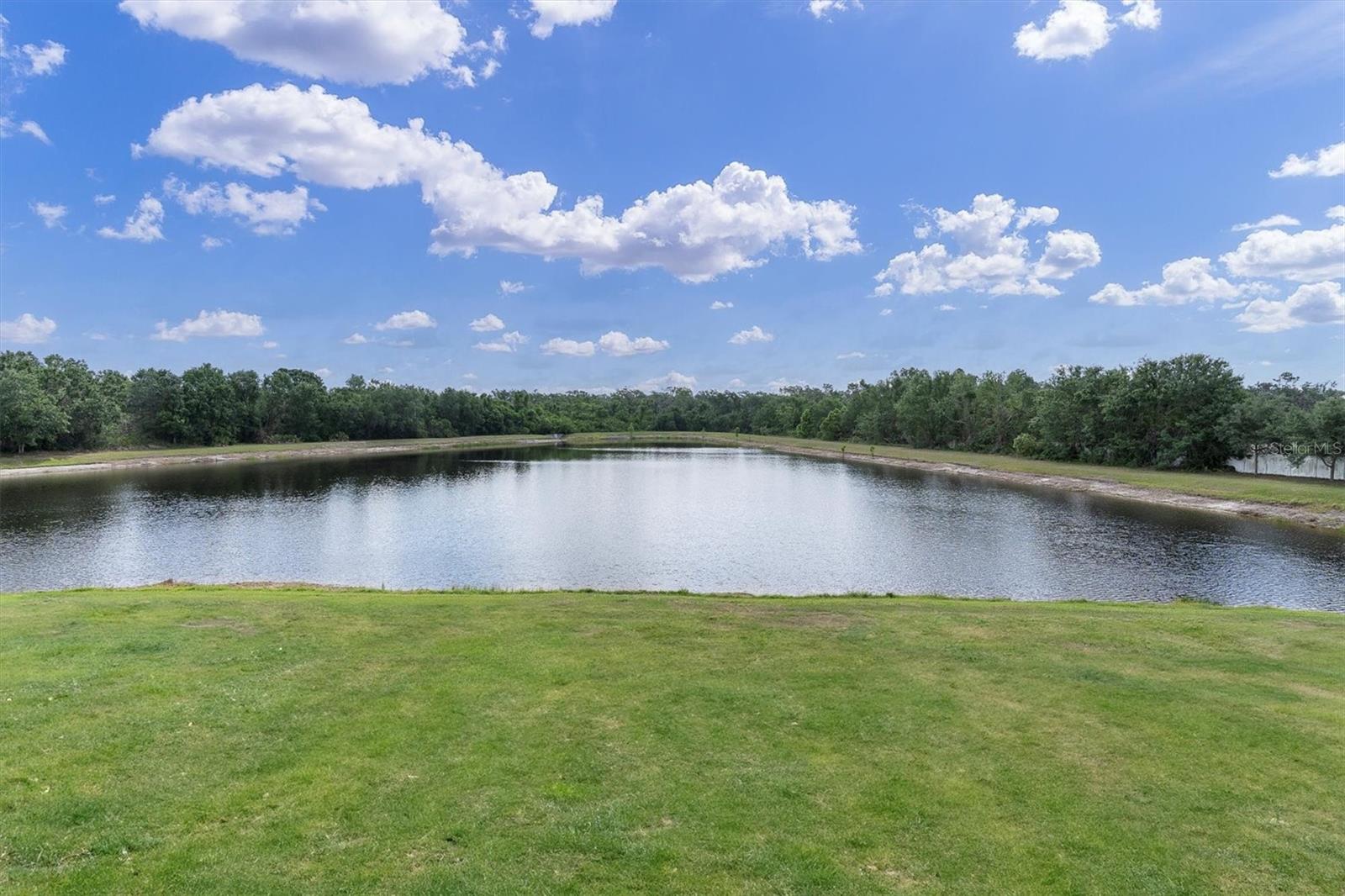 10911 ROCKLEDGE VIEW DR, RIVERVIEW, FL, 33579