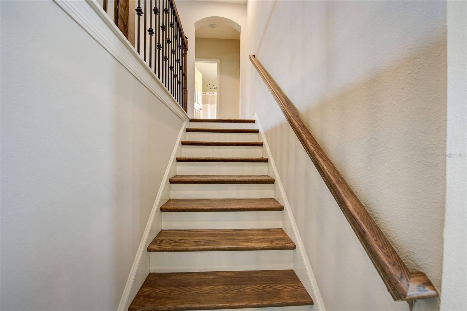 6001 ANISE DR, SARASOTA, FL, 34238