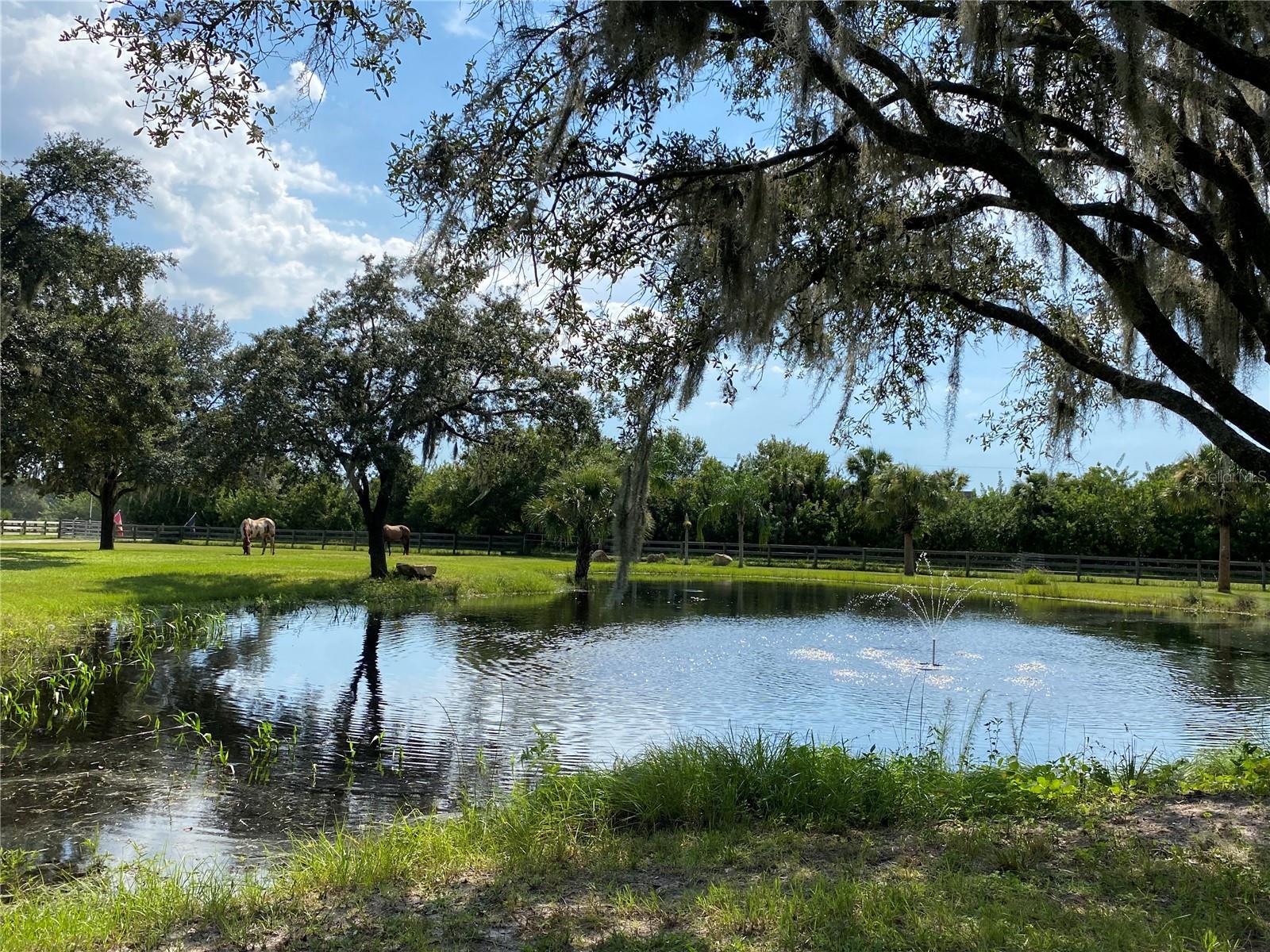 3717 DOWNER AVE, SARASOTA, FL, 34240