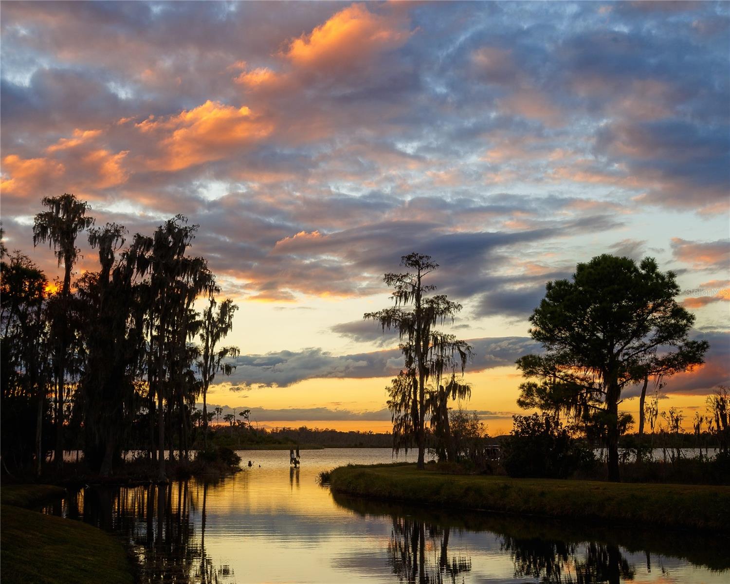 6350 SEDONA LEAF CT, WINDERMERE, FL, 34786