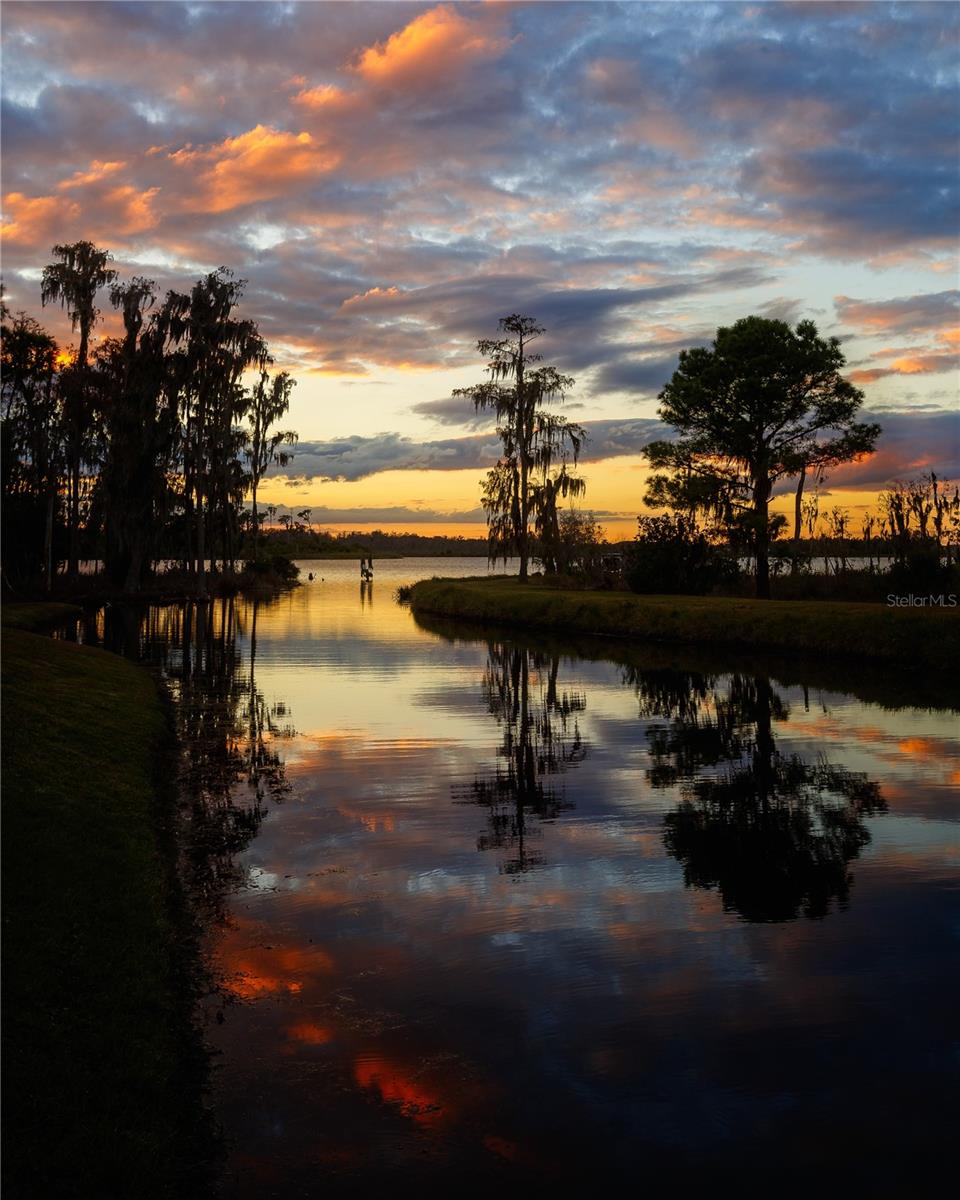 6350 SEDONA LEAF CT, WINDERMERE, FL, 34786