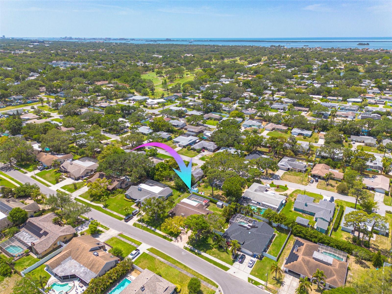 2550 ROLLING VIEW DR, DUNEDIN, FL, 34698