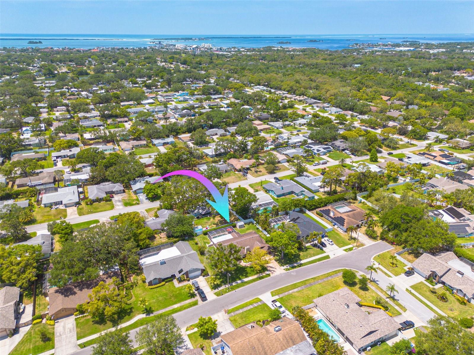2550 ROLLING VIEW DR, DUNEDIN, FL, 34698