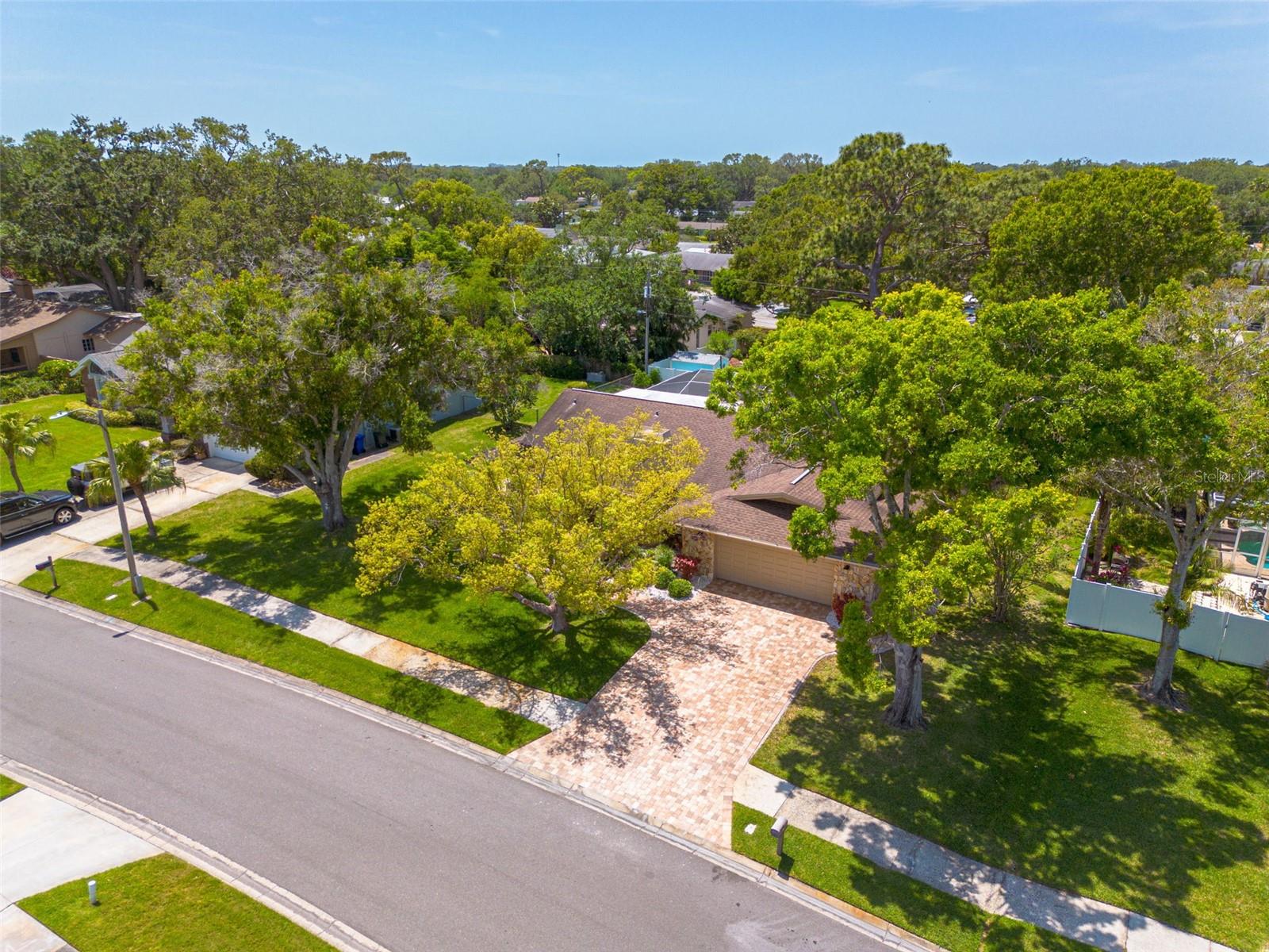 2550 ROLLING VIEW DR, DUNEDIN, FL, 34698
