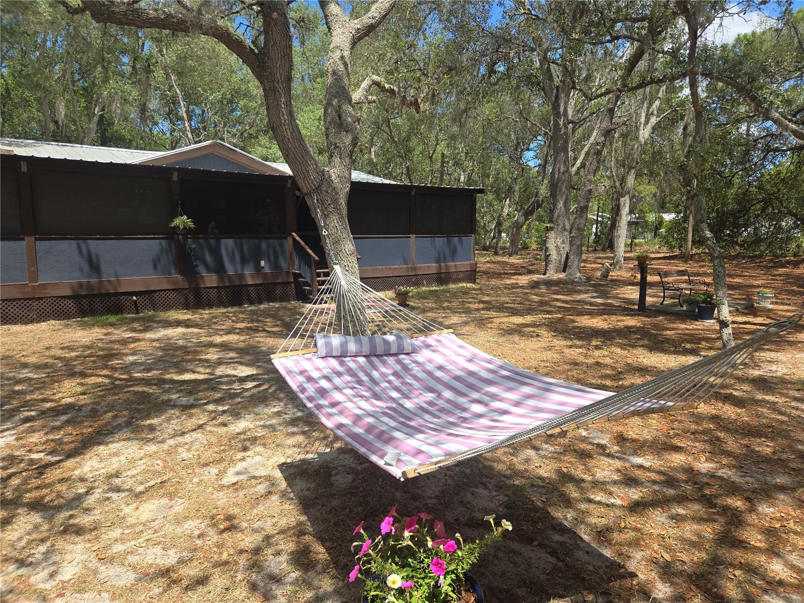 16205 SE 119TH ST, OCKLAWAHA, FL, 32179